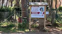 I cani scavano buche e danneggiano il parco. L'appello del Comune ai proprietari: "Non lasciateli liberi di fare quello che vogliono"