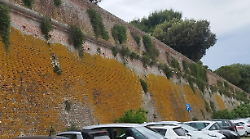 “Quando inizia la colta dei capperi?”: la provocazione social che scuote la città