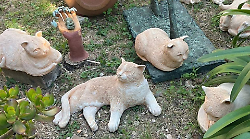 La città ricorda il gatto Mao: l’appello dei cittadini per esporre le sculture realizzate dagli studenti