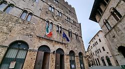 Raccolti quattromila euro per far tornare a casa Saber: "Grazie alla generosità di 80 concittadini"