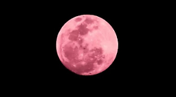 La Luna delle Fragole incanta l’Italia: l’11 giugno lo spettacolo sarà visibile anche a Grosseto