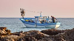 Al mercato la Giornata nazionale "Pesca amica", tutti gli eventi: "Basta pescato d'importazione, c'è rischio di contaminazioni"