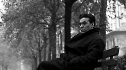 Da Bianciardi a Calvino: un viaggio multimediale nel "Giardino letterario della Maremma e dell'Amiata" al Palazzo della Provincia