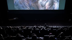 "Cinema in Festa" arriva anche a Grosseto: tutti i film a soli 3,50 euro
