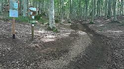 Monte Amiata: paradiso da salvare o risorsa da spremere?