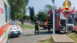 Dramma in strada, uomo muore schiacciato dal trattore ribaltato: l'ultima vittima di una lunga lista, i terribili numeri