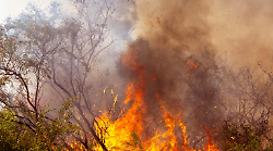 Incendi, scatta l’allerta estate: come difendere la casa dalle fiamme