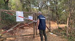 Devastano la macchia mediterranea per costruire una strada verso casa: due denunce per illeciti edilizi e ambientali