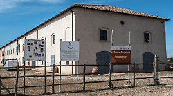 La “banca del grano” che cambiò la Maremma: quando il welfare nacque ad Alberese nel 1789