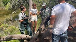 A "Camper" su Rai1 va in onda il Parco della Maremma: la riserva naturale in tv nel cinquantenario 