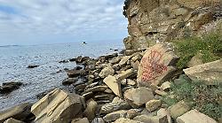Scritte vandaliche No Vax sulle rocce e sui tronchi di Cala Martina: "Grave danno ambientale e culturale"