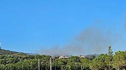 Brucia anche Follonica: in fumo mille metri quadrati di oliveto vicino al campo da golf