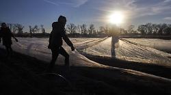 Agricoltura rigenerativa: il ritorno alla terra dei giovani italiani tra innovazione e sostenibilità