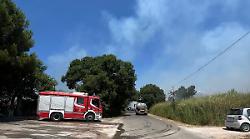 Fiamme nel bosco alle porte del paese, strada chiusa: in azione anche l'elicottero antincendio