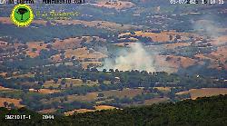 Incubo incendi: torna a bruciare il bosco a Scansano, le fiamme minacciano le case. In arrivo un Canadair
