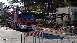 Pino caduto in giardino, l'asilo nido comunale resta chiuso: "Verifiche in corso sulle altre piante"