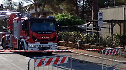 Paura a Scarlino Scalo: crolla un pino a pochi passi dall’asilo nido