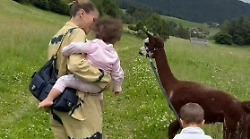 Chiara Nasti, le foto di lady Zaccagni in vacanza  a Rio di Pusteria con gli alpaca e i figli: "Amanti della natura"