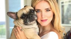 Chiara Ferragni, lo struggente ricordo della cagnolina Matilda commuove i fan: "Ci manchi ogni giorno e ti amiamo"