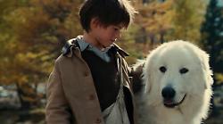 Belle & Sebastien stasera 7 agosto: un film fiabesco che profuma di magia. Trama e cast