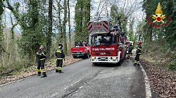 Una notte di lavoro per i Vigili del fuoco: piante abbattute e incendio d'auto