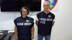 Operazione antibracconaggio: sequestrati rapaci protetti e un'arma da caccia