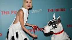 The Impossible: con il film di oggi 22 agosto una serata all'insegna dell'emozione intensa e dello spirito di sopravvivenza. Trama e cast