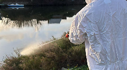 Disinfestazione antilarvale senza sosta: “Estate tranquilla come avevamo promesso”