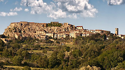 I 35 "gemelli" francesi ospiti per una settimana delle famiglie del paese 