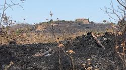"L'agricoltura è la prima difesa contro gli incendi: chiederemo lo stato di calamità dopo il disastro di Cana"