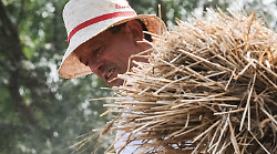 Addio a Franco Fontani, storico direttore della Cooperativa Agricola di Pomonte