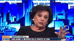 Delitto di Garlasco, un dubbio lungo 23 minuti.  L'onorevole Matone: "Meglio un colpevole in libertà che un innocente in carcere"