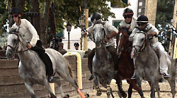 Il borgo si ferma per il Palio: regole speciali, divieti e primi abbinamenti delle contrade
