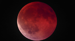 Maremma incantata dalla Luna rossa: in 150 all’osservatorio, ma la caccia al buio era ovunque