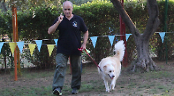Pelosetti in passerella con la terza esposizione canina amatoriale di Montieri