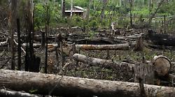 Sapiens – Un solo pianeta: stasera 20 settembre su Rai 3 la puntata ‘Foresta madre’ sull’Amazzonia e la lotta alla deforestazione