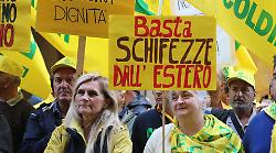 Coldiretti Grosseto in piazza: "Basta ai trafficanti di grano"