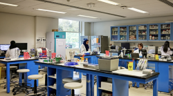 Dal ministero dell'Istruzione 200mila euro al "Leopoldo di Lorena" per laboratori innovativi