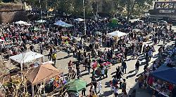 Il Mercatino dei Ragazzi festeggia 40 anni tra solidarietà, giochi e futuro