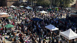 Cittadella della Salute: oltre 350 visite al Mercatino dei Ragazzi 