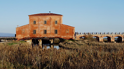 Caccia al tesoro nella palude: un pomeriggio da esploratori alla Casa Rossa