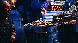 Dalla crisi alla rinascita: la castagna del Monte Amiata vuole conquistare il mercato