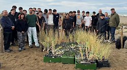 Sulla duna di Principina spuntano duecento nuove piante: gli agronomi sono gli studenti