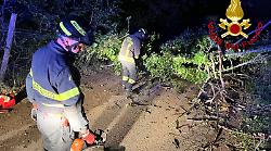 Vento forte e paura in Maremma: Vigili del fuoco in azione da ieri pomeriggio