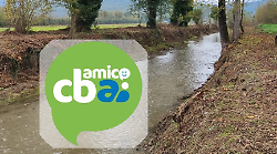 Il Consorzio di Bonifica 6 Toscana Sud ha un nuovo assistente virtuale: è arrivato Amico Cbai