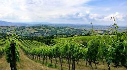 Anche il Consorzio del Montecucco dice no all'impianto eolico all'Abbandonato