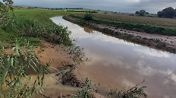 Piogge intense in Maremma, il Consorzio di bonifica continua a monitorare i corsi d'acqua