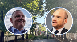 Sull'abbattimento dei 215 alberi in città è scontro fra Vivarelli Colonna e Rusci: "Cerca la ribalta, pensi al Parco della Maremma"