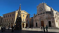 A Grosseto è già Natale: "L'anno prossimo cominciamo a Ferragosto!"