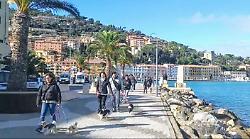 Torna il Walk City Dog: l’Argentario accoglie gli amici a quattro zampe